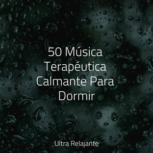 Revolotea en La Brisa