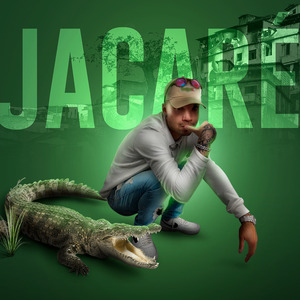 Jacaré