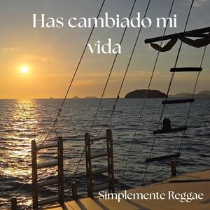 Has cambiado mi vida