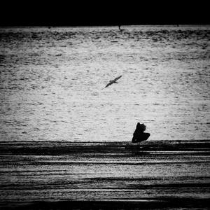 Dance of the Snowflakes