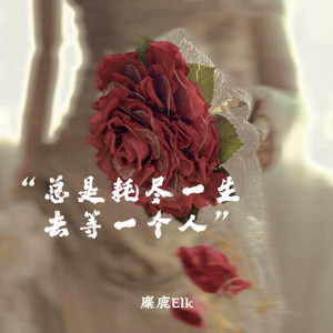 总是耗尽一生去等一个人