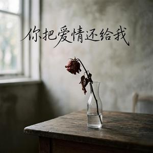 你把爱情还给我