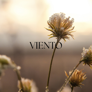 Viento
