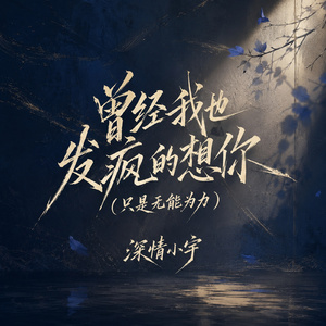 曾经我也发疯的想你(只是无能为力)