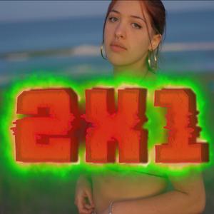 2x1