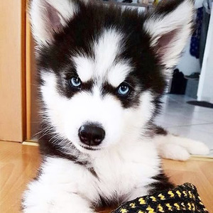 Make It Make Sense (sped up)