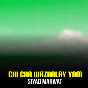 Chi Cha Wazhalay Yam