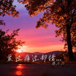 爱过痛过却错过 (Cover 王佳音)