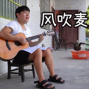 风吹麦浪-去种田的向凹凸（翻自 去种田的向凹凸）