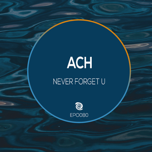 Never Forget U (Original Mix)