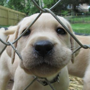 Tippa My Tongue (slowed)