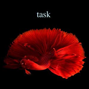 Task