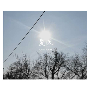 《夏天的风》