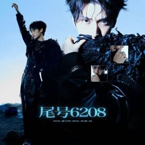 尾号6208
