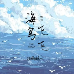海鸟飞飞 (DJ默涵版)