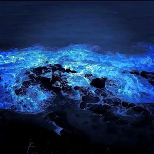 听我说，听你说