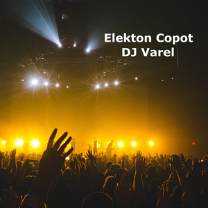 Elekton Copot