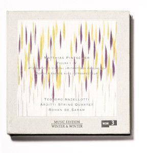 Figura I-V für Akkordeon und Streichquartett: Figura V Assonanza per Violoncello