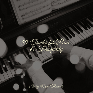 Reflections in Clear Skies