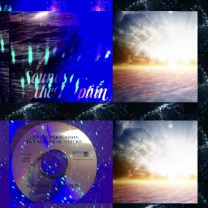 Dolphin Youtube Meditation