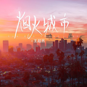 烟火城市 (DJ沈念版伴奏)