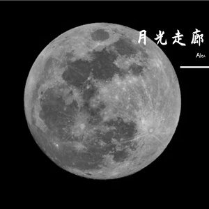 《月光走廊》