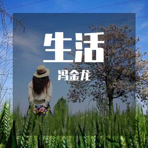 篱笆墙的影子（电视剧《篱笆·女人和狗》主题曲）