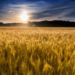 旅人の唄: From "無職転生" (Piano Version)