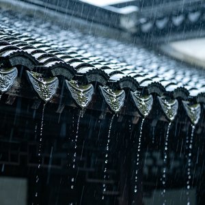 相思雨
