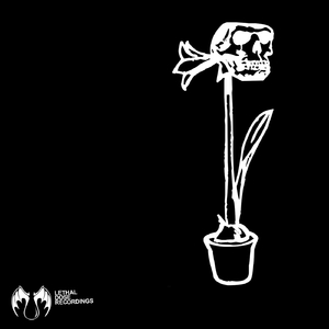 Dignum (Original Mix)
