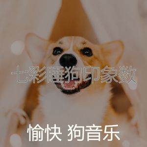 优美幼犬器乐