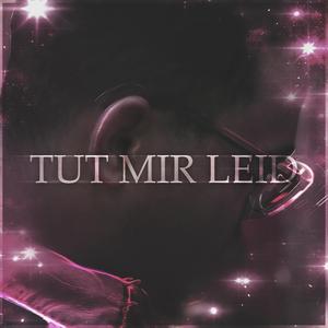 Tut Mir Leid (feat. Taikii, Gluma & Ready)