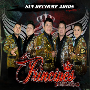 Sin Decirme Adios
