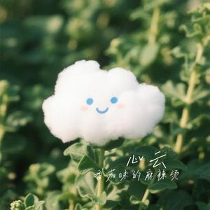 心云 (Cover 林志颖)