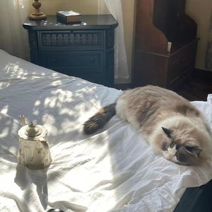 【FREE】“宁城”