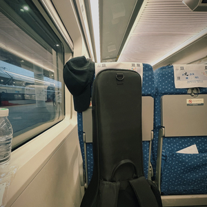 梦不到美丽的它们（demo）