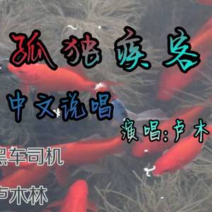 黑车司机-孤独疾客（卢韩玮 Remix）