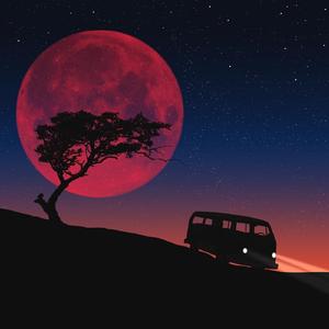 Funk (Visualization) (Remix)