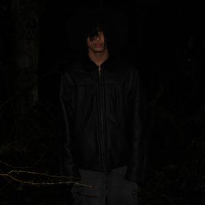 Dear Fans (feat. vao)