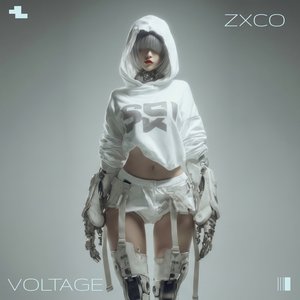 Voltage