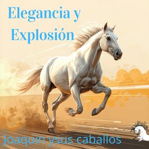 Elegancia y Explosión
