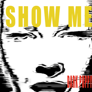 Show me (feat. Sarah Vantorre & Alain Verlinde) (Serge Verlinde Remix)