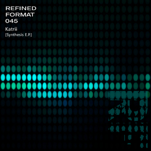 Fragmented Perception