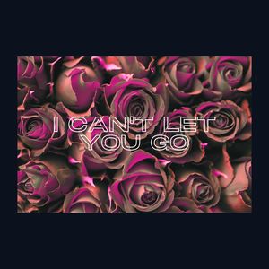 I Can't Let You Go(Vocal)