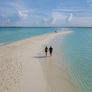 Животна песна