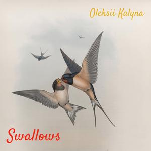 Swallows