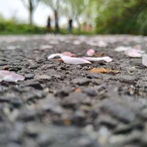 浮沉如梦-洞箫版