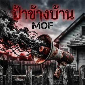 ป้าข้างบ้าน
