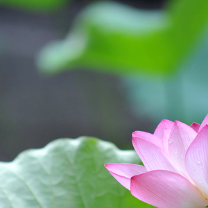 做人不能坑朋友