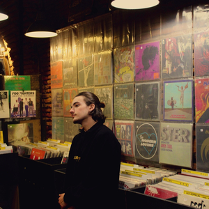 La colombe et l'olivier